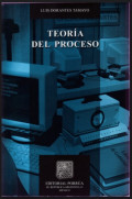 Teoría del proceso