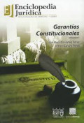 Garantías constitucionales , vol. I