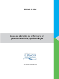 Image of Guías de atención de enfermería en ginecobstetricia y perinatología
